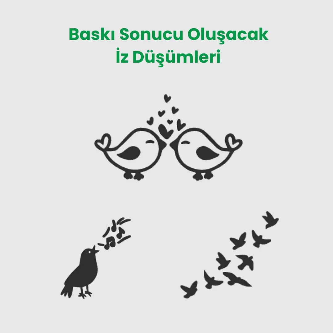 Kuşlar Mühür Seti - 3 Parça SET